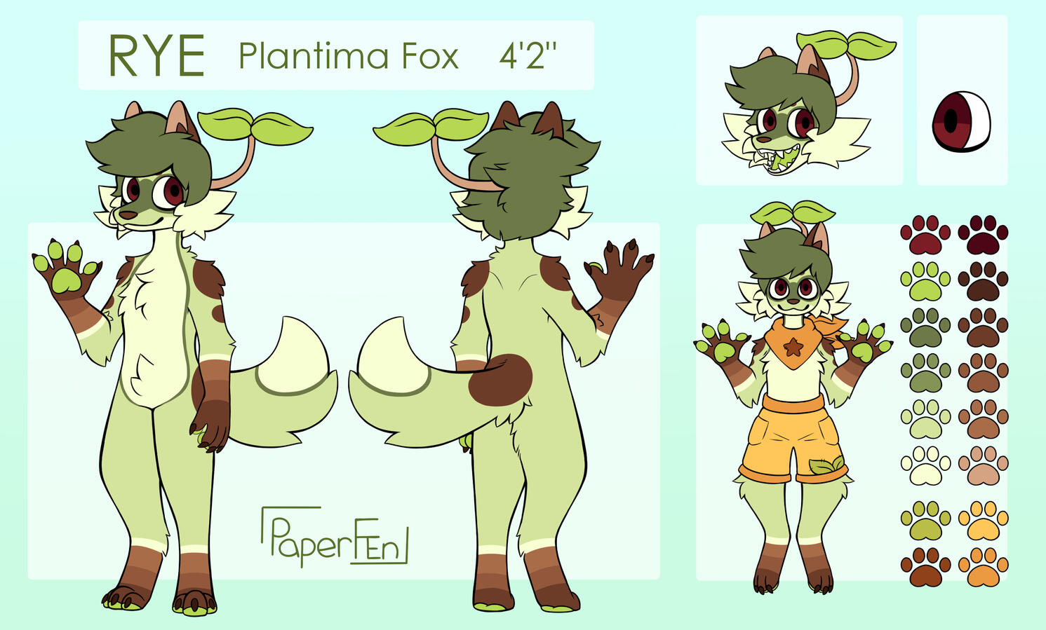 Back/Front with a Headshot, Close Up, and Clothing Version